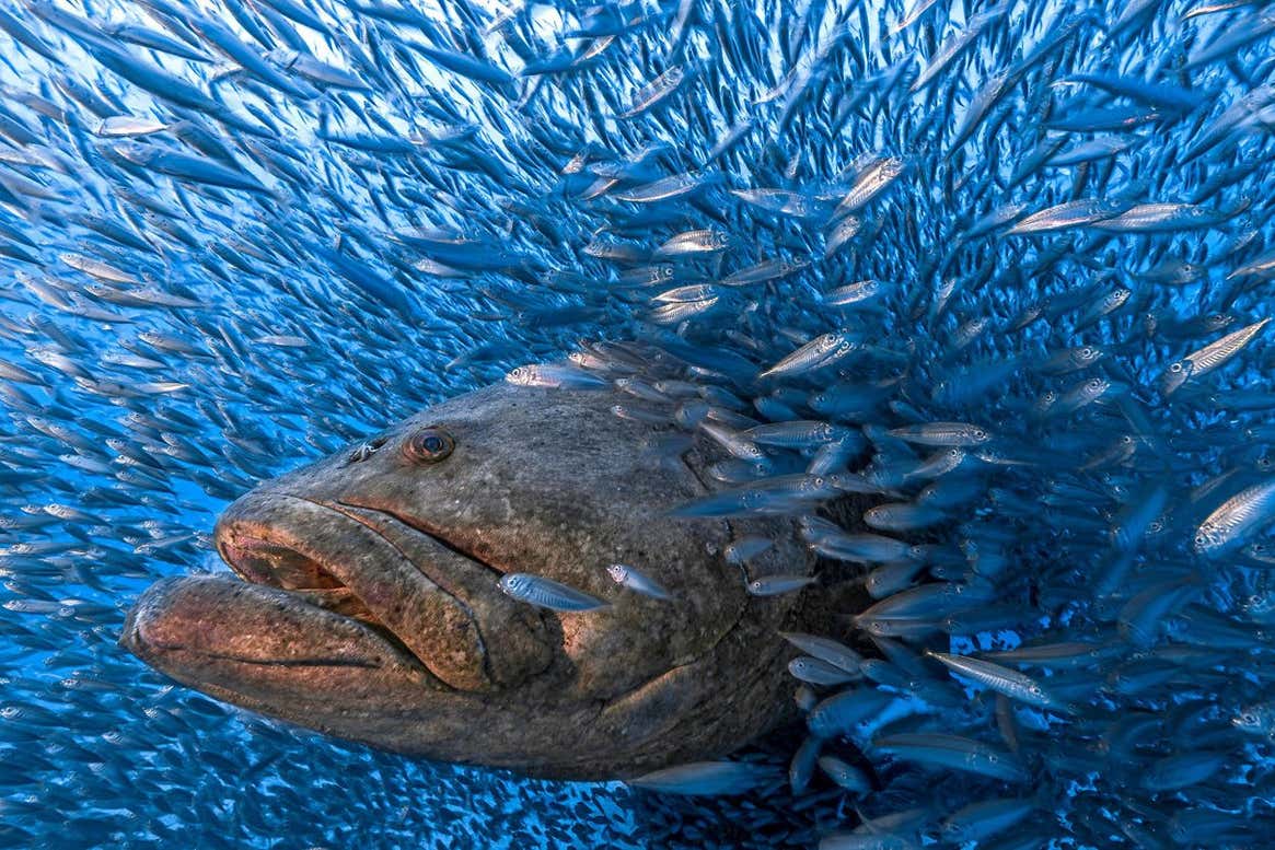 Image: Tom Shlesinger/TNC Photo Contest