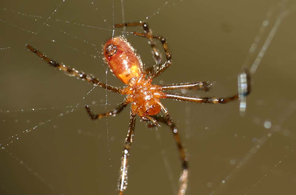 Photo: Bernard Dupont / Flickr/ CC BY-SA 2.0