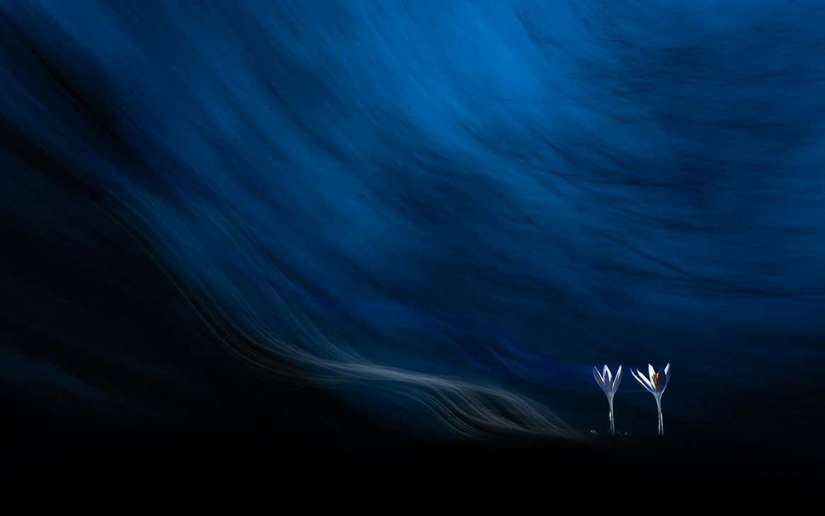 Image: Tibor Litauszki/TNC Photo Contest