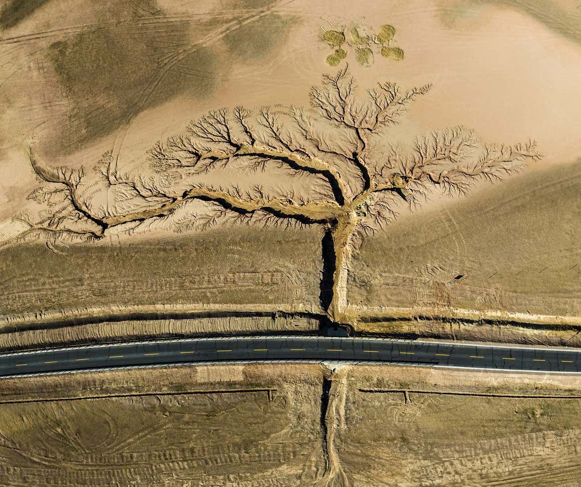 Image: Li Ping/TNC Photo Contest