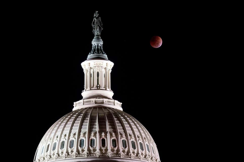 Image: Stefani Reynolds