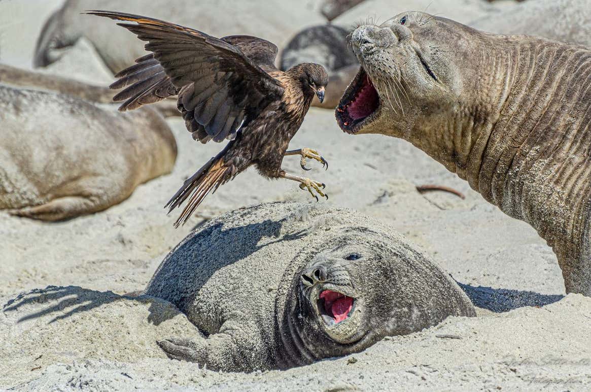 Image: Fabio Saltarelli/TNC Photo Contest