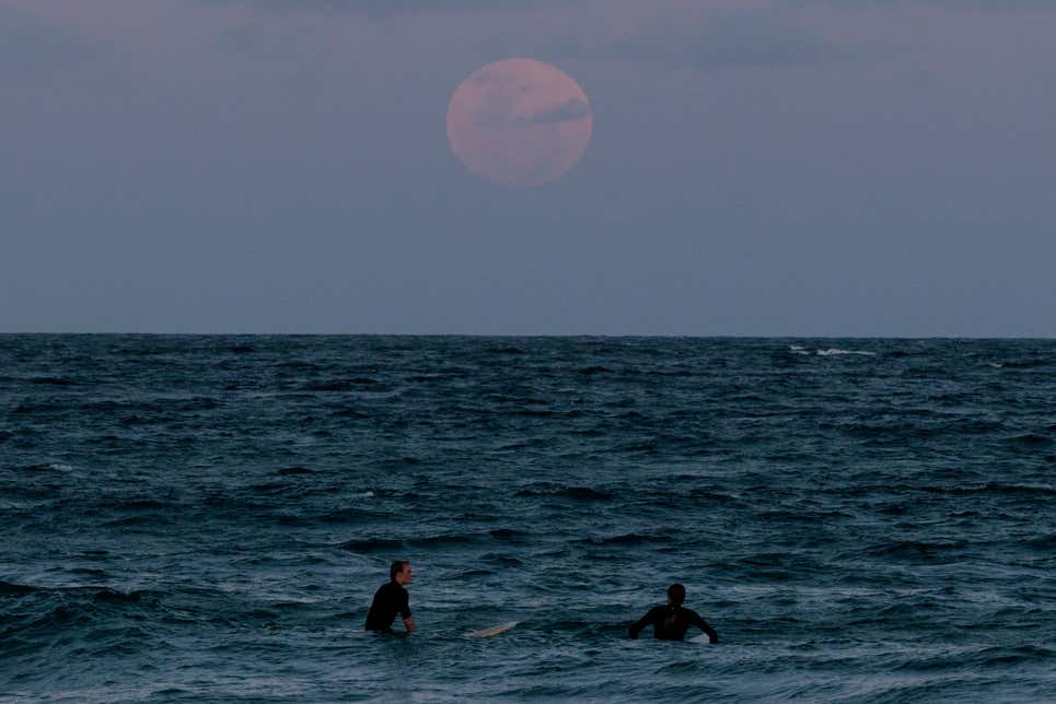 Image: Brook Mitchell