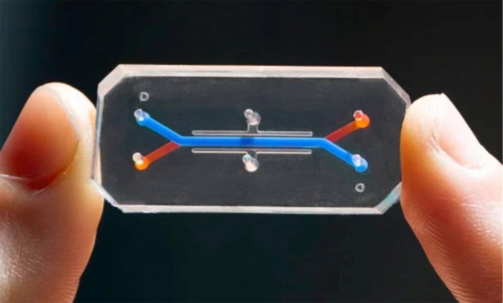 Image: Wyss Institute at Harvard University