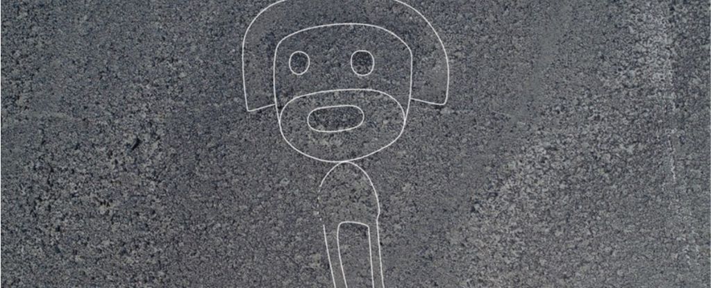 Image: Yamagata University