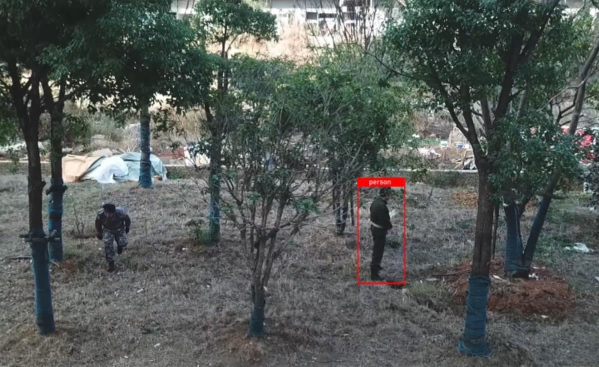 Image: Wuhan University