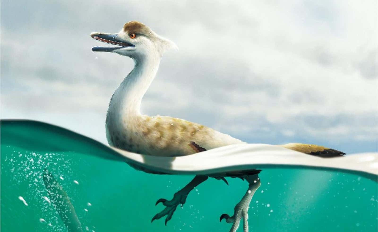 Aunque se parece mucho a un pájaro moderno, en realidad es un dinosaurio no aviar