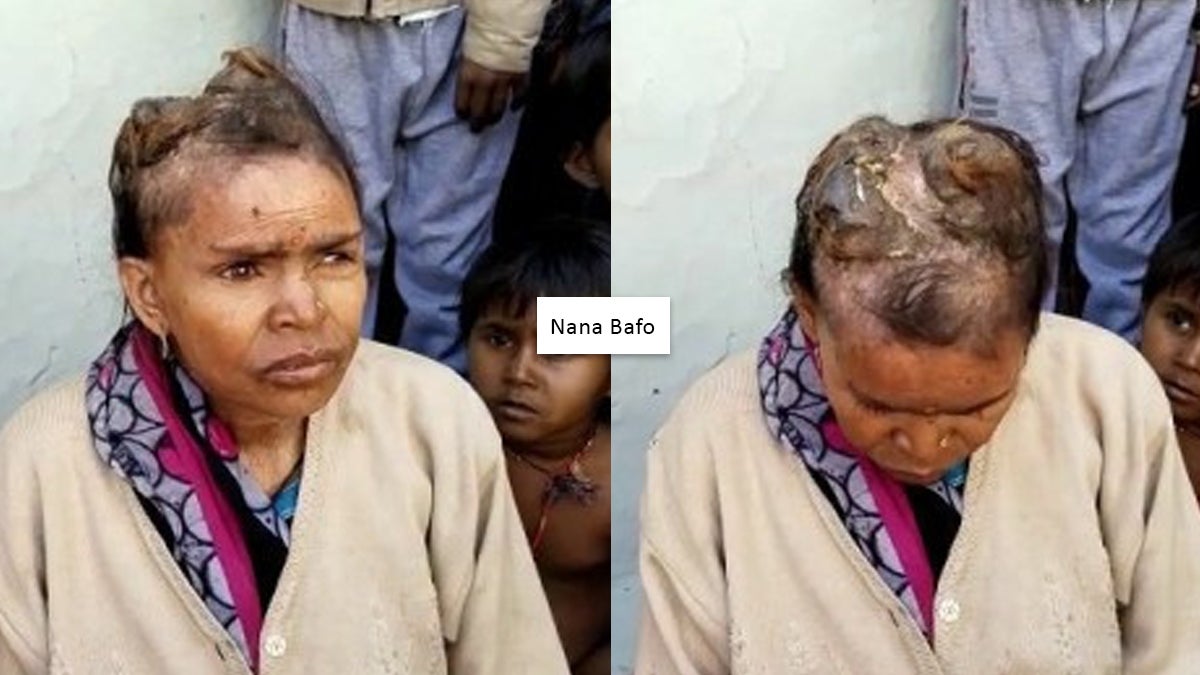 Se cree que podría tratarse de un tipo de “cuerno silíceo”