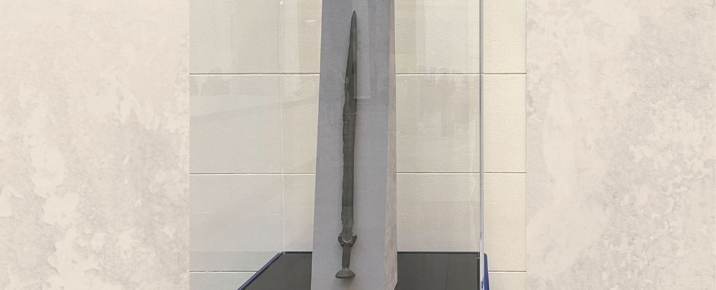 Image: Museo Field