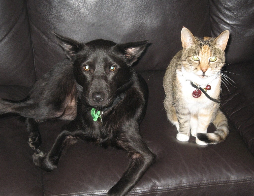 Y tú, ¿en que bando estás?