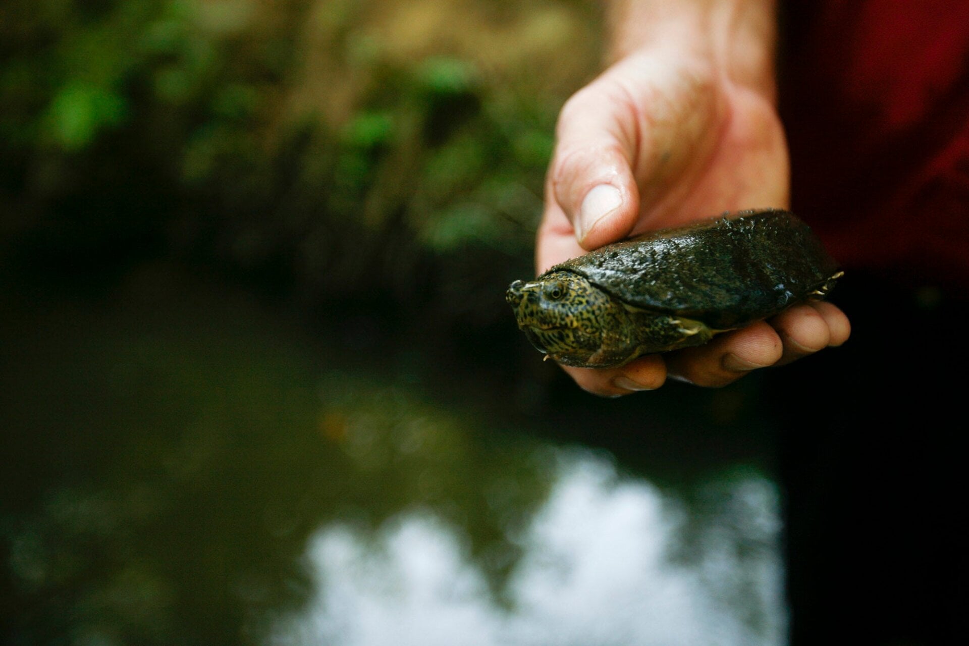 Photo: The Birmingham News, Matthew Williams