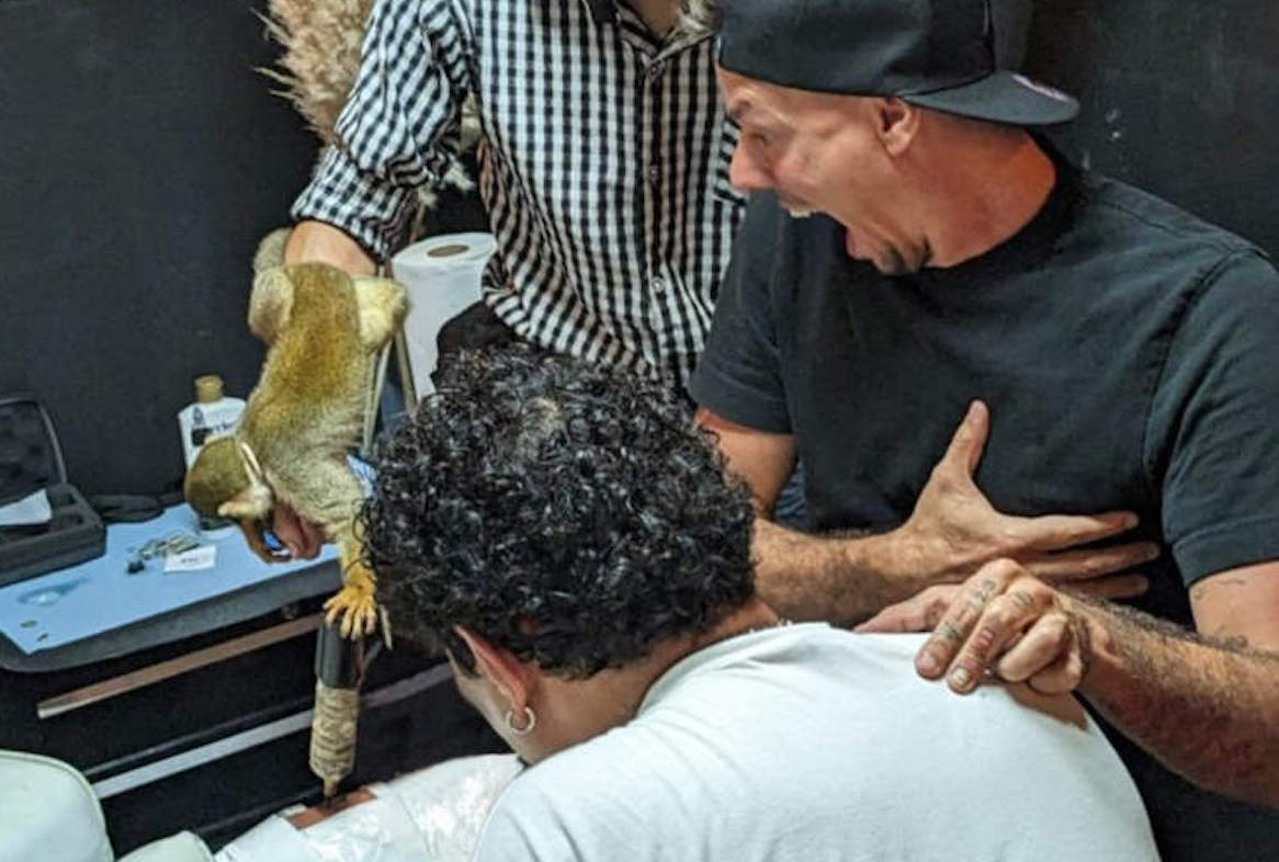 Los monos pueden tatuar, o casi