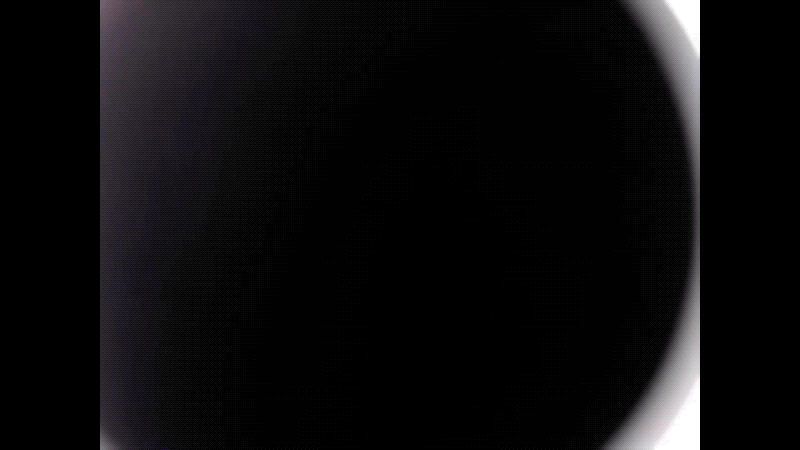 Image: High Performance Space Structure Systems/Gizmodo