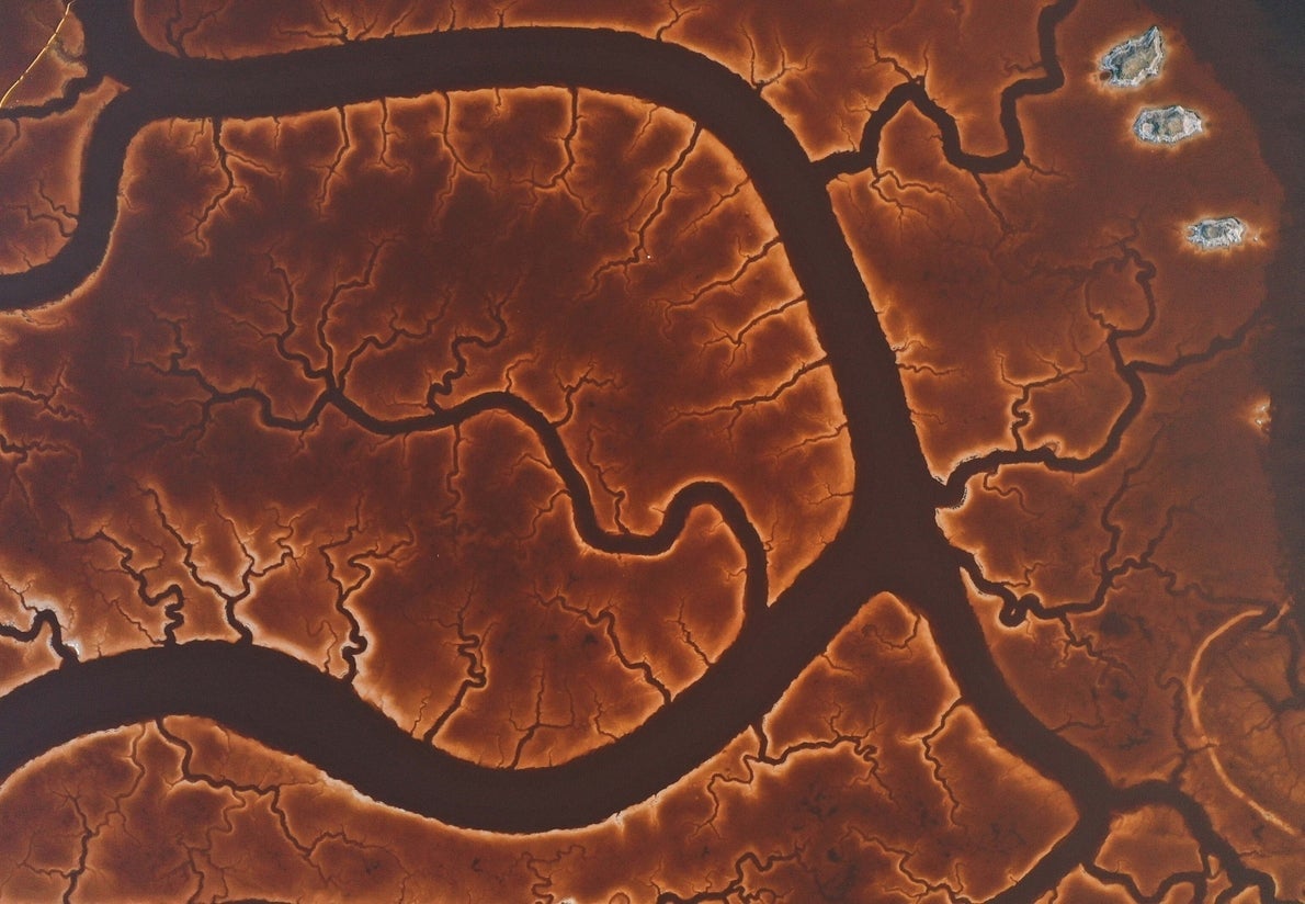 Image: Tayfun Coskun c/o National Geographic