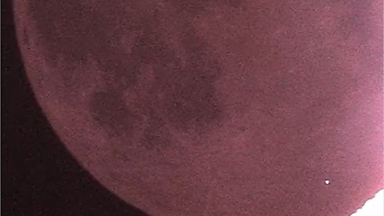 El astrónomo espera que el Lunar Reconnaissance Orbiter de la NASA o la sonda lunar India Chandrayaan 2 tomen imágenes del nuevo cráter creado por el impacto del meteorito