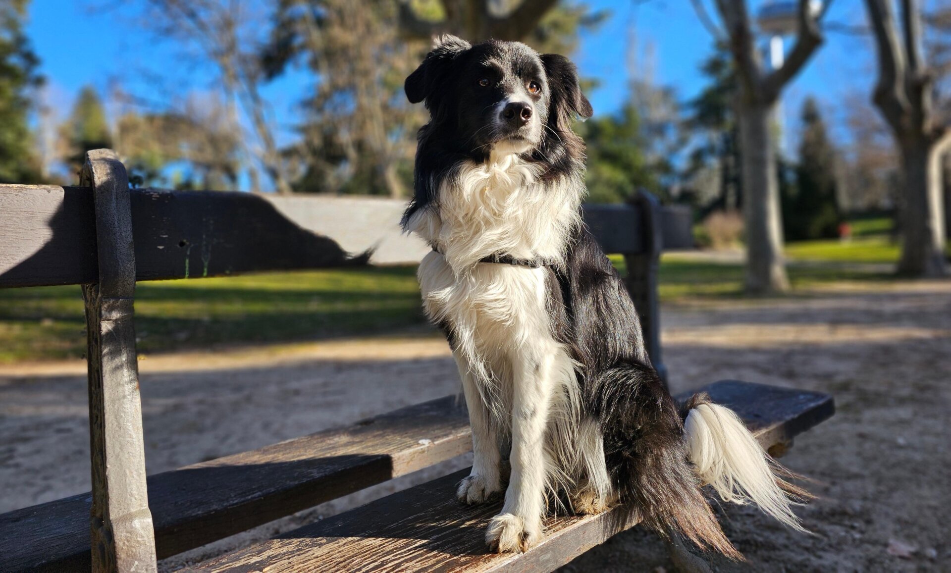 Photo: Julio Cerezo / Gizmodo