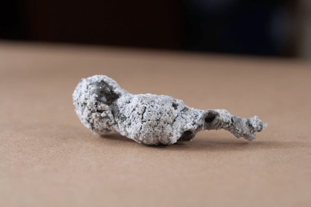 Image: Matthew Pasek/University of South Florida