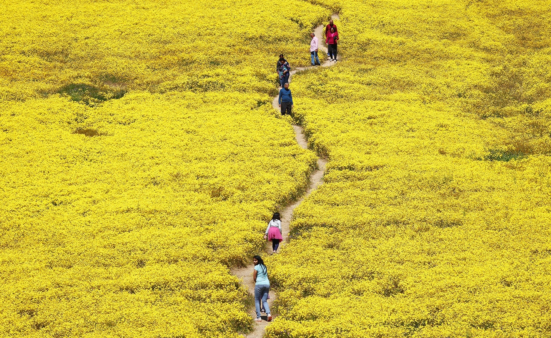 Visitantes pasean por el parque natural Carrizo Plain National Monument en Santa Margarita, California