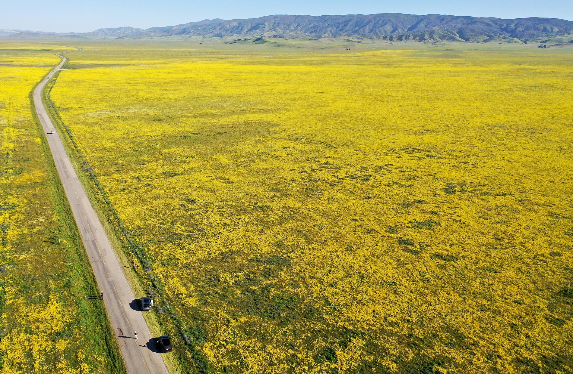 La carretera que cruza el parque natural Carrizo Plain National Monument en Santa Margarita, California.