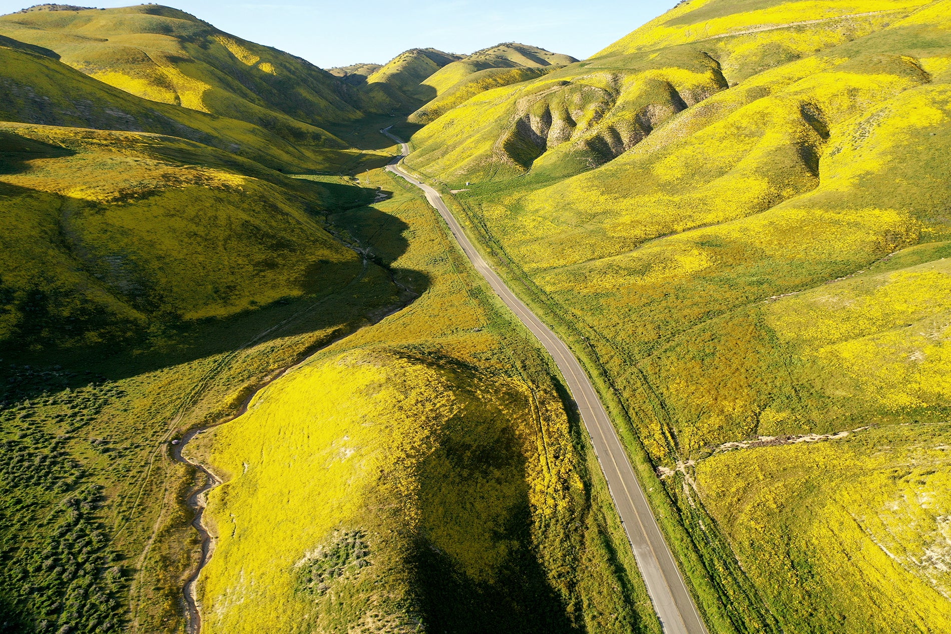 Vista aérea del manto de flores amarillas sobre el parque natural Carrizo Plain National Monument en Santa Margarita, California.