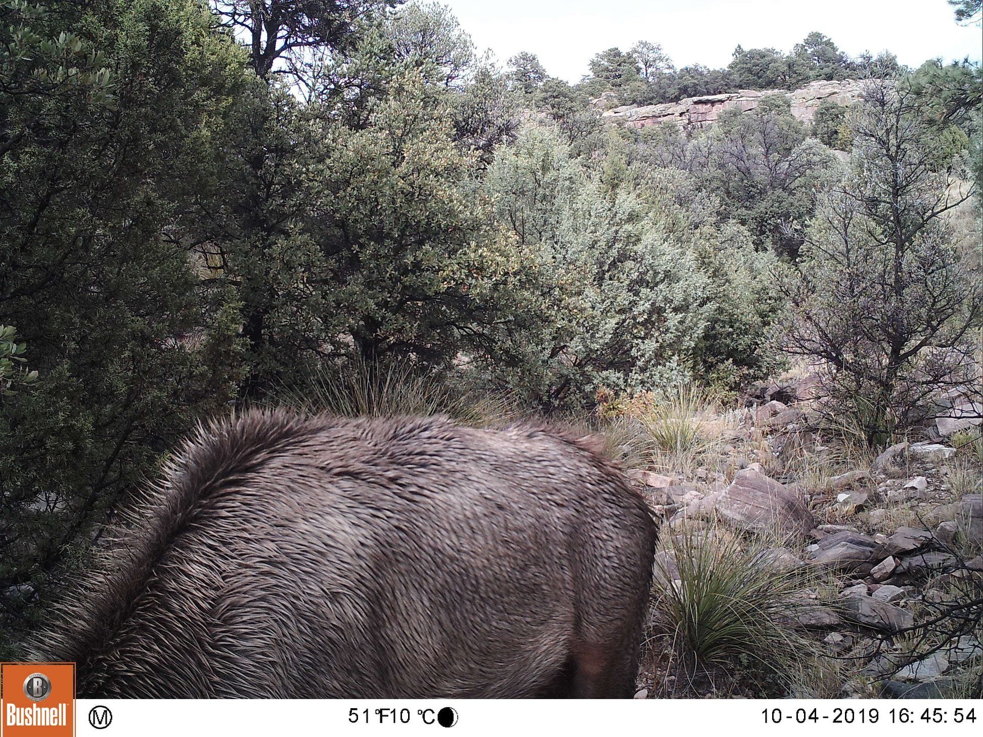Image: Rio Mora National Wildlife Refuge