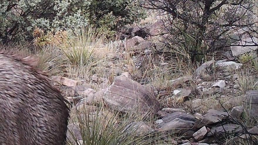 Image: Rio Mora National Wildlife Refuge