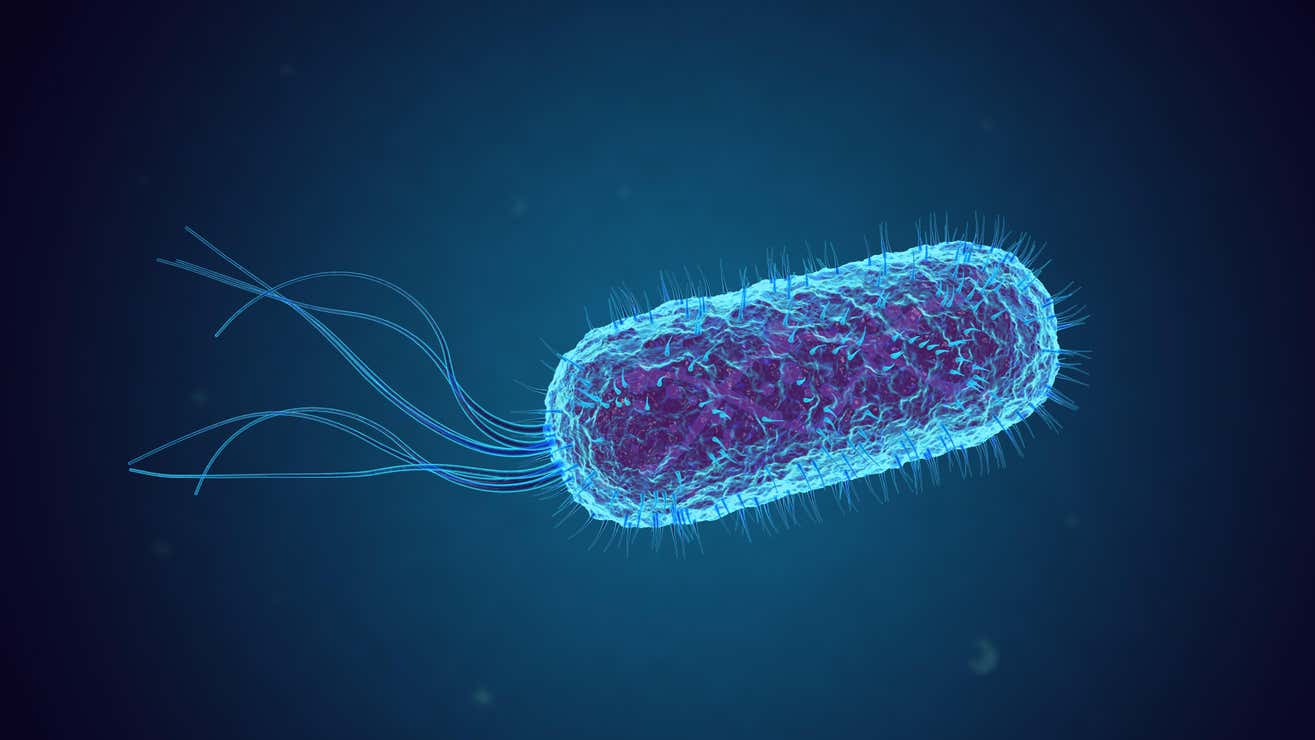 El estudio se centra en dos cepas de E. coli diseñadas genéticamente para combatir la enfermedad