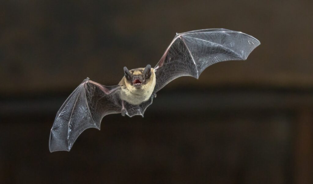 Photo: Rudmer Zwerver