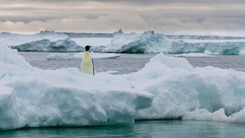 Image: Sergio Pitamitz