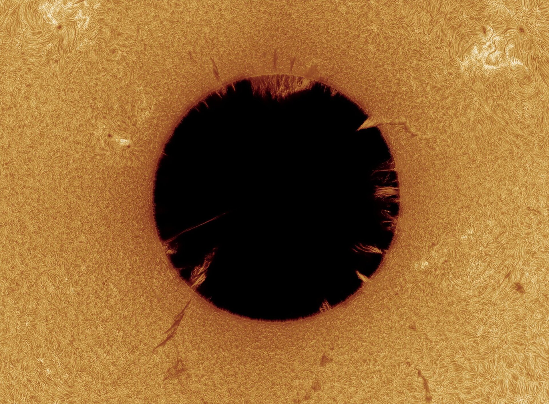 Una foto del Sol, invertida en coordenadas polares.