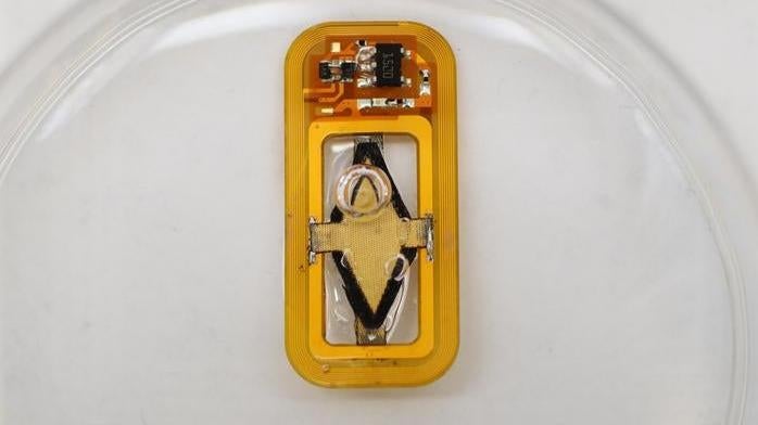 Image: Claudia Liu and Dr. Siddharth Krishnan, MIT/Boston Children’s Hospital