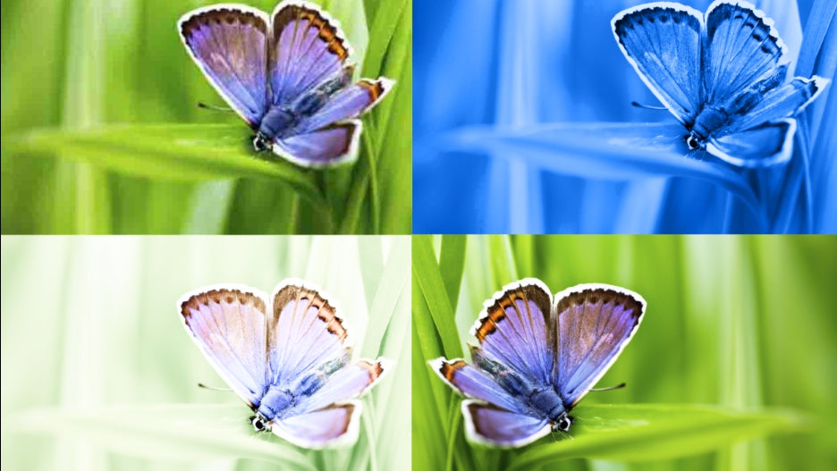 Image: DeepMind