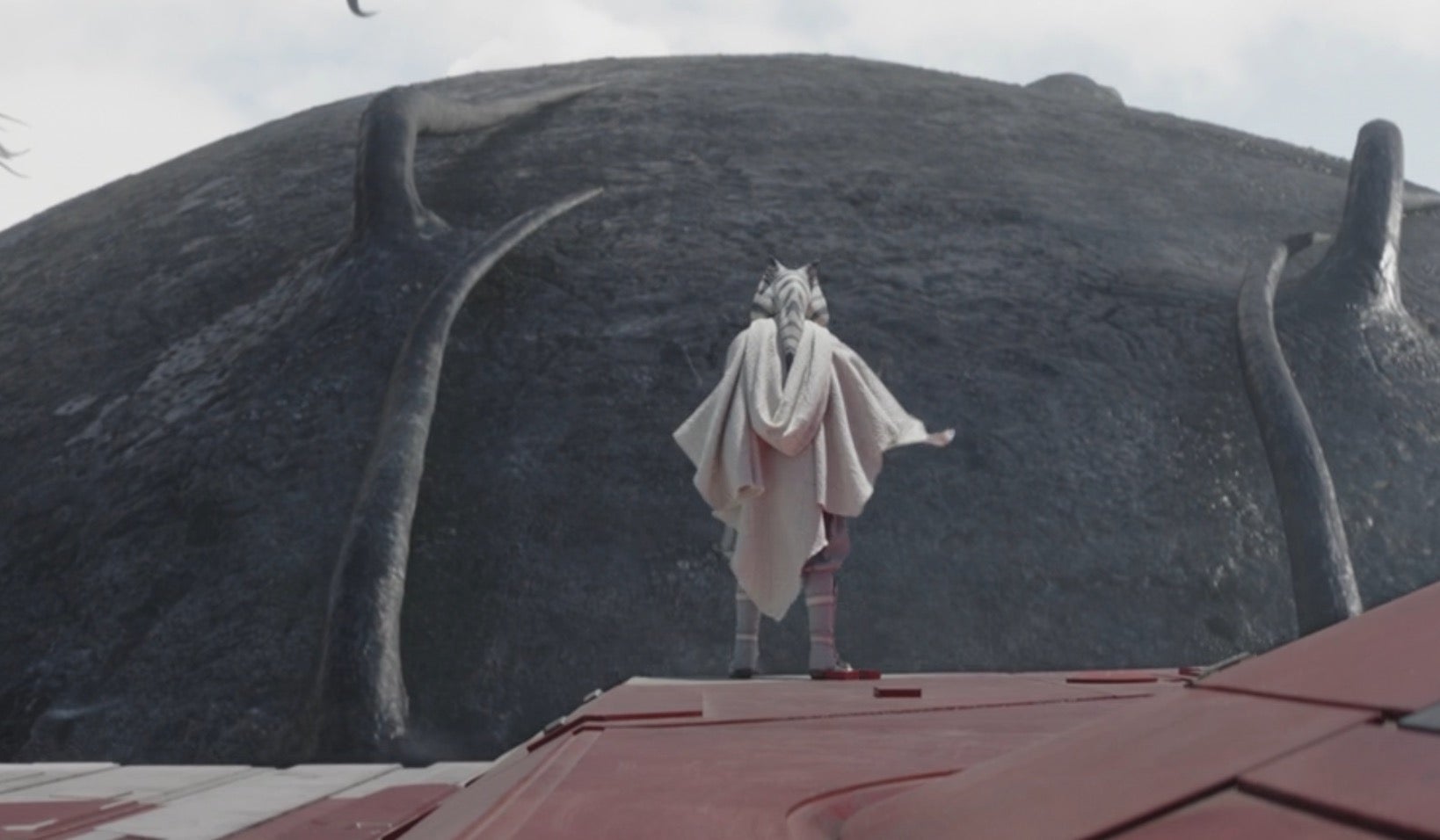 Esto  sucedió  en guerra de las galaxias. Salvaje. 