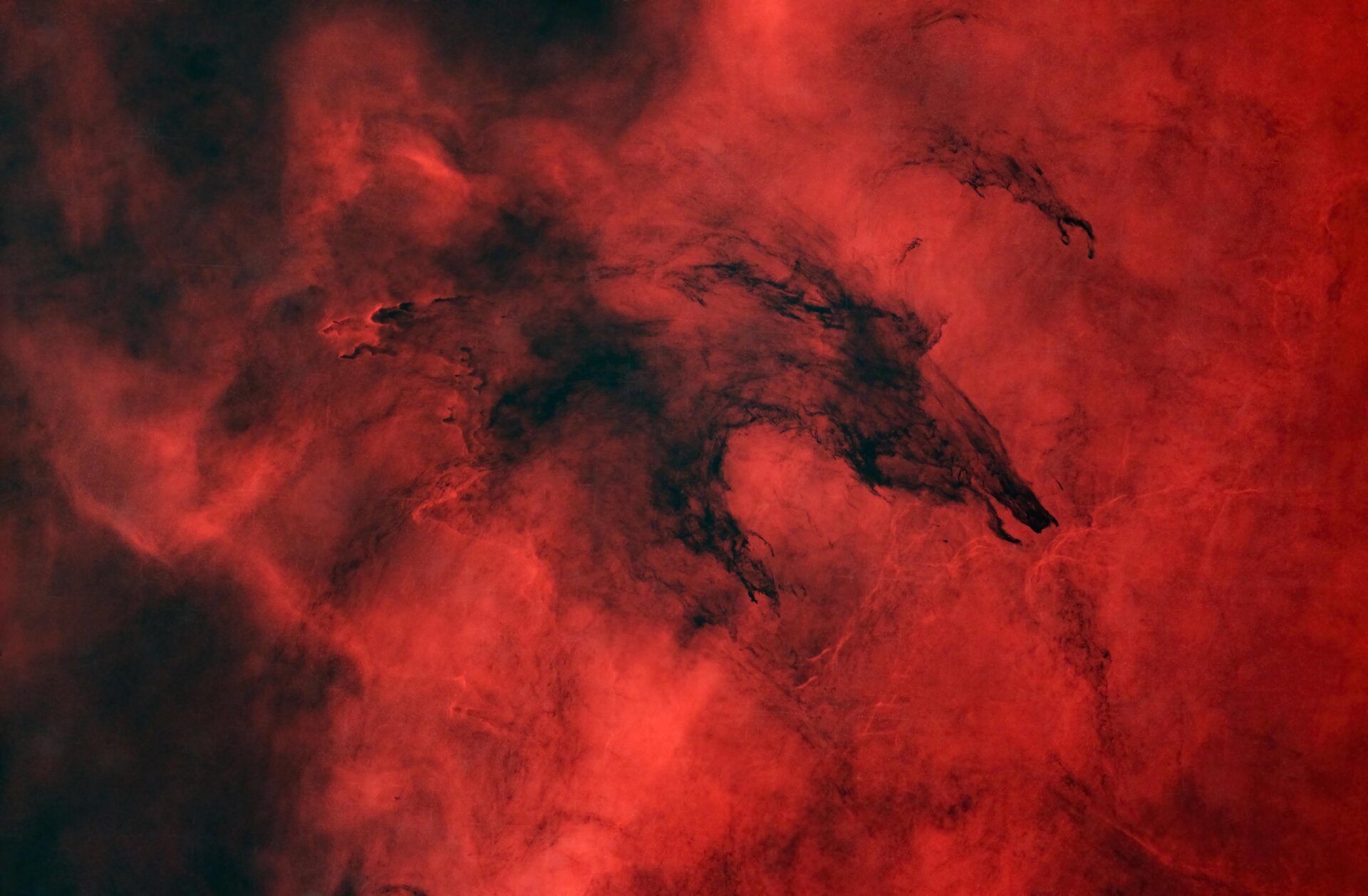 Una nube molecular que se parece un poco a un lobo (o, en mi opinión, a un jabalí).