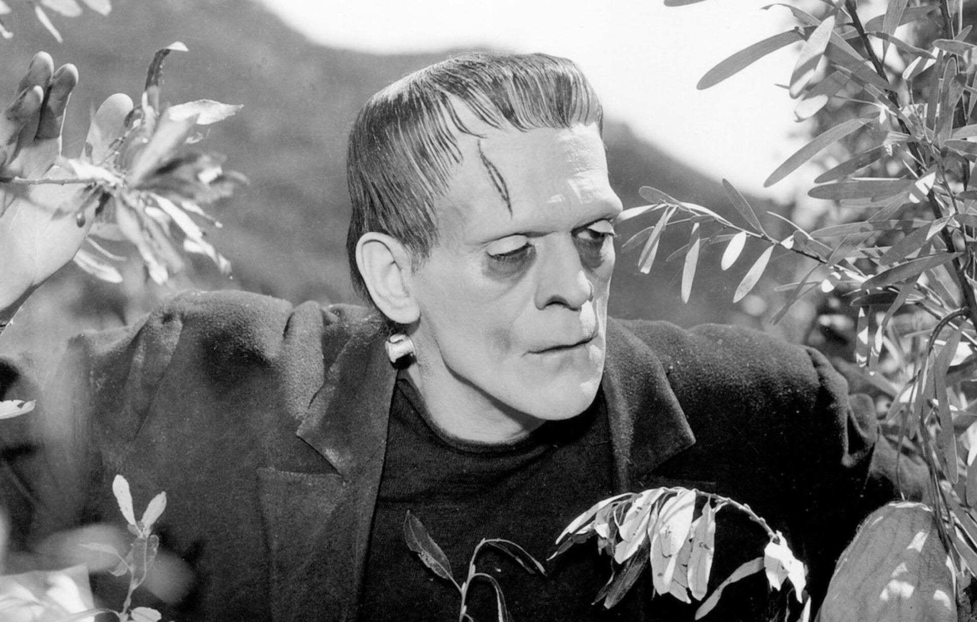 frankenstein