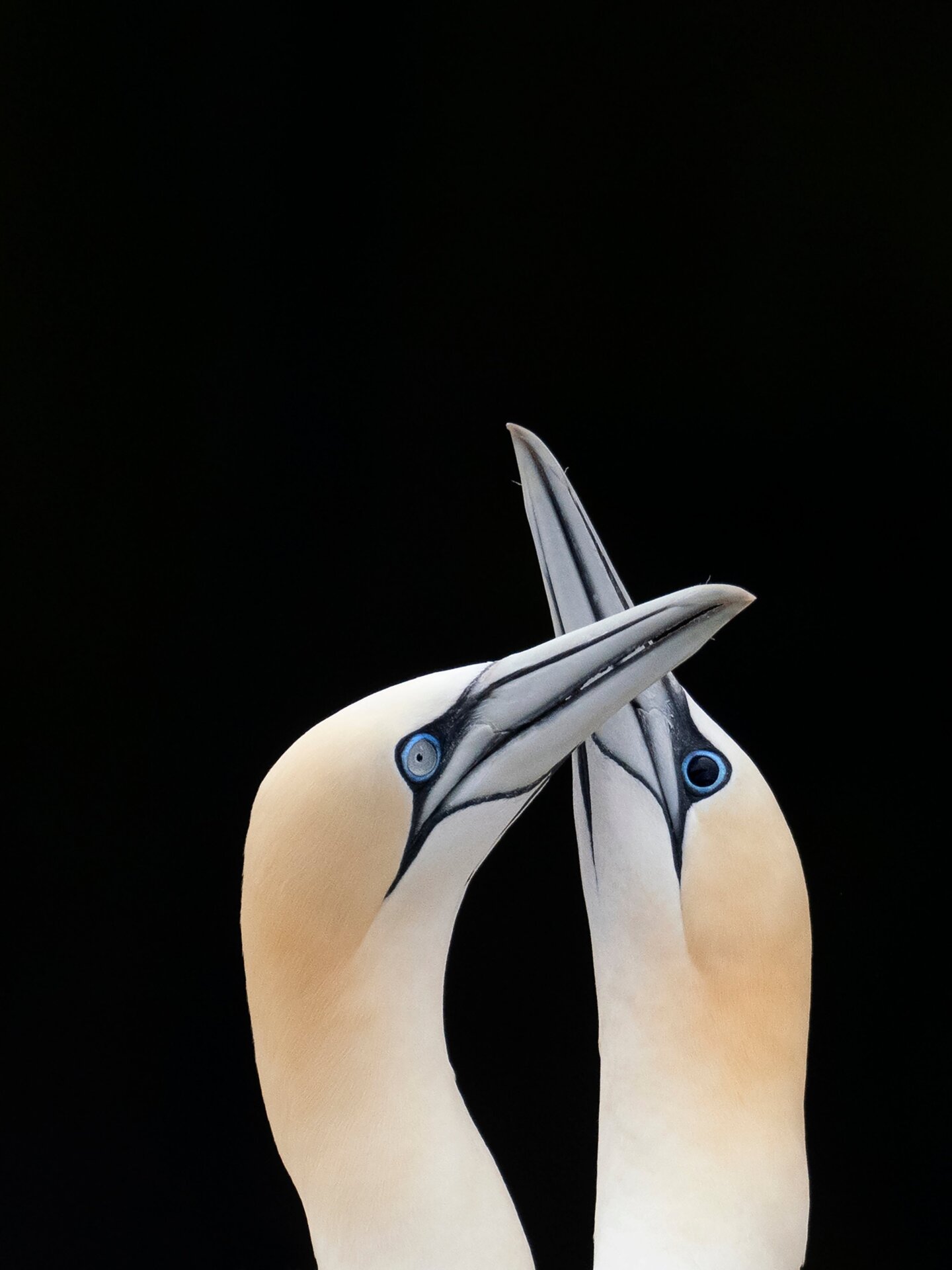 Photo: Rebecca Nason