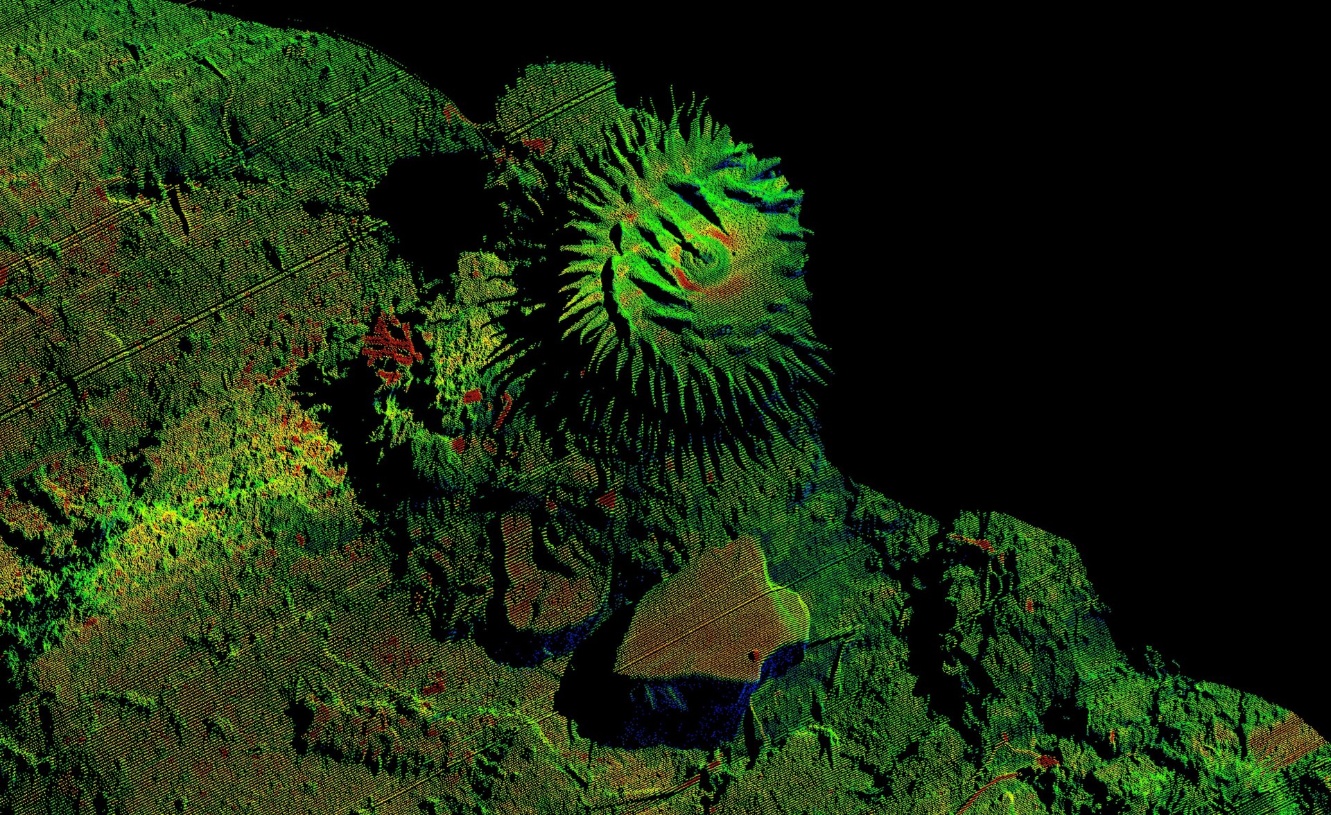 Los láseres brillan sobre un arrecife de coral.