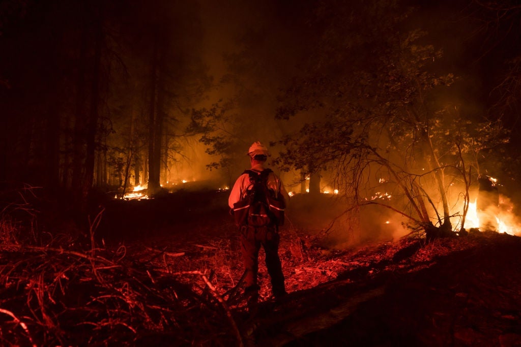 Un bombero lucha contra las llamas durante el incendio Dixie en Genesee, California, EE. UU., el sábado 21 de agosto de 2021. El incendio Dixie creció durante la noche  en casi 10,000 acres, a 714,219 acres.
