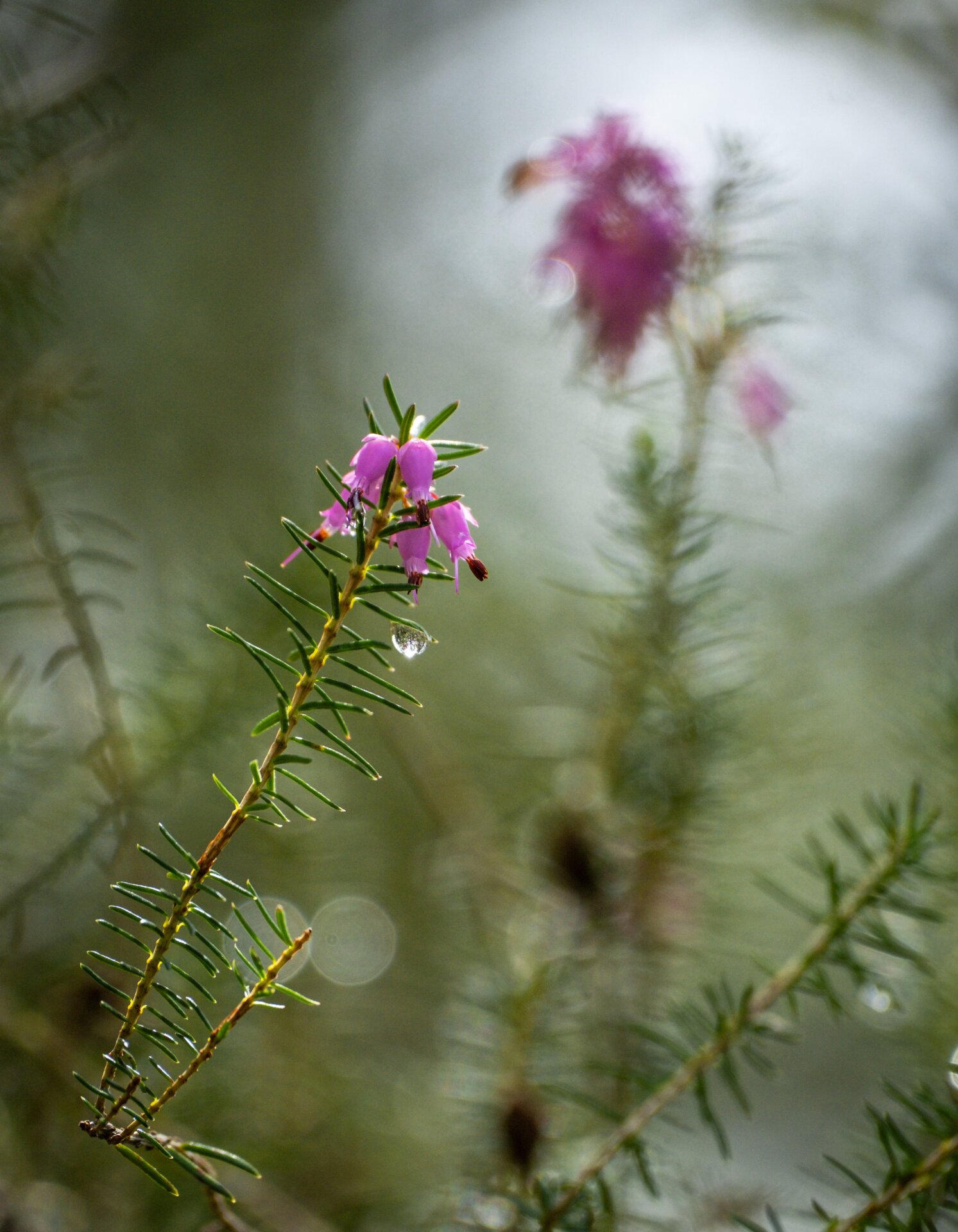 Photo: Sandra Angers-Blondin