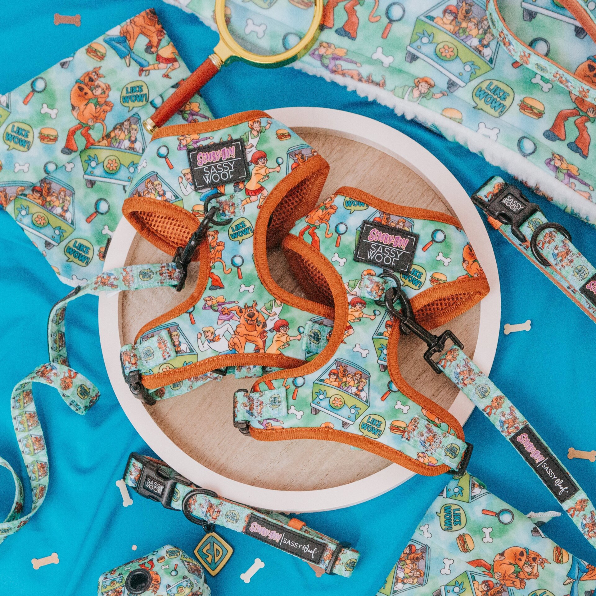 Image: Warner Bros. Discovery Global Consumer Products