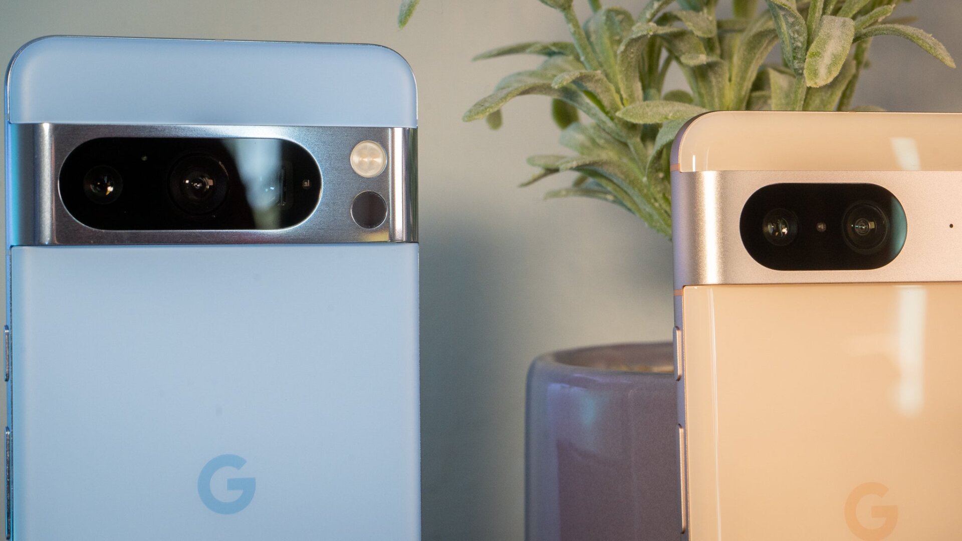 Photo: Florence Ion / Gizmodo