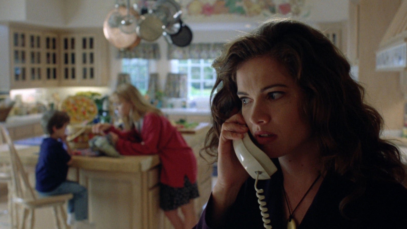 Heather Langenkamp como Heather Langenkamp.