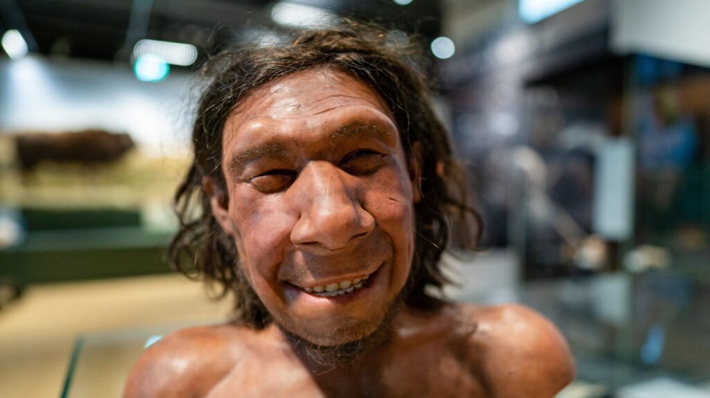 Photo: BART MAAT/ANP/AFP