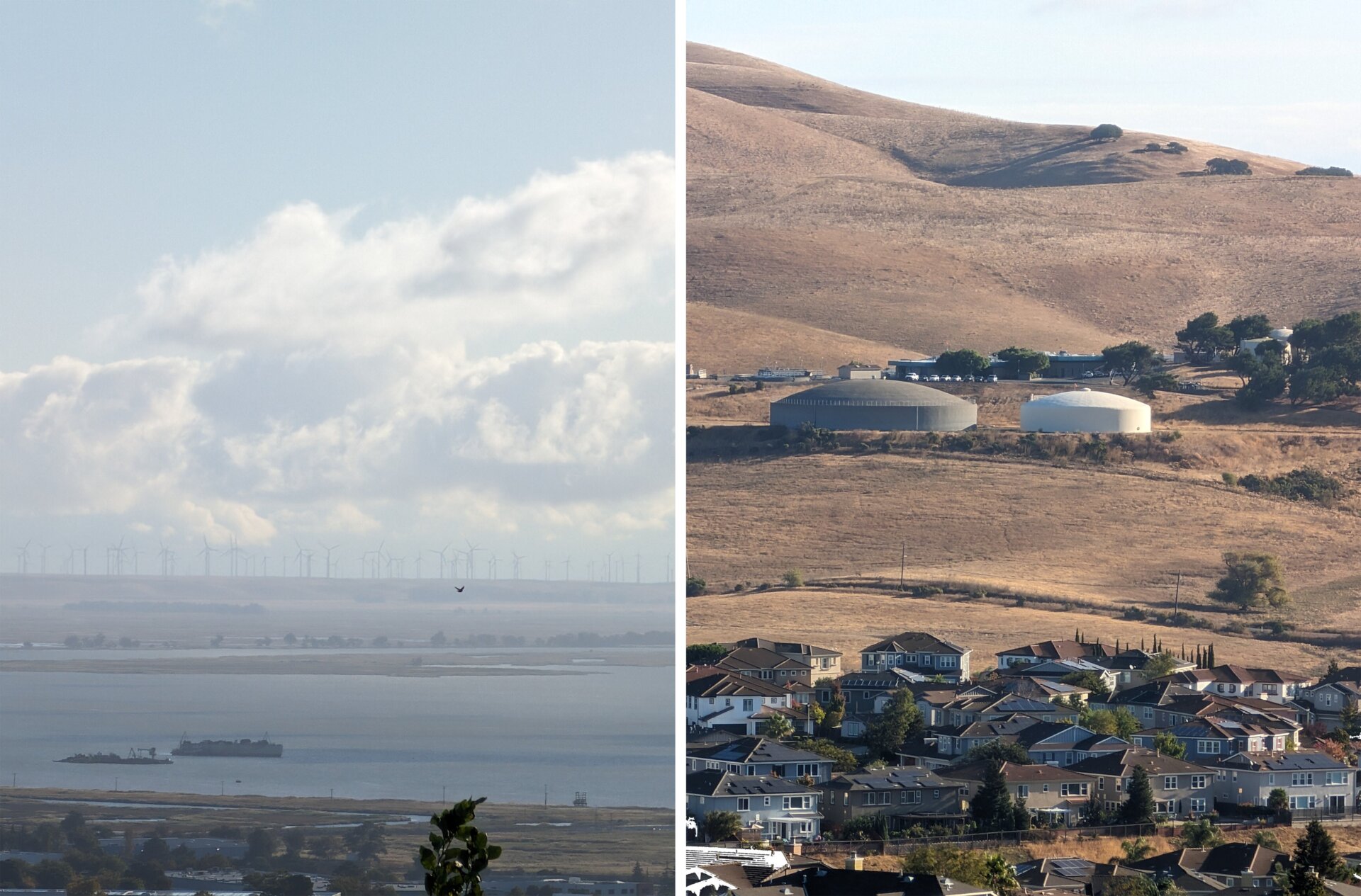 Photo: Florence Ion / Gizmodo