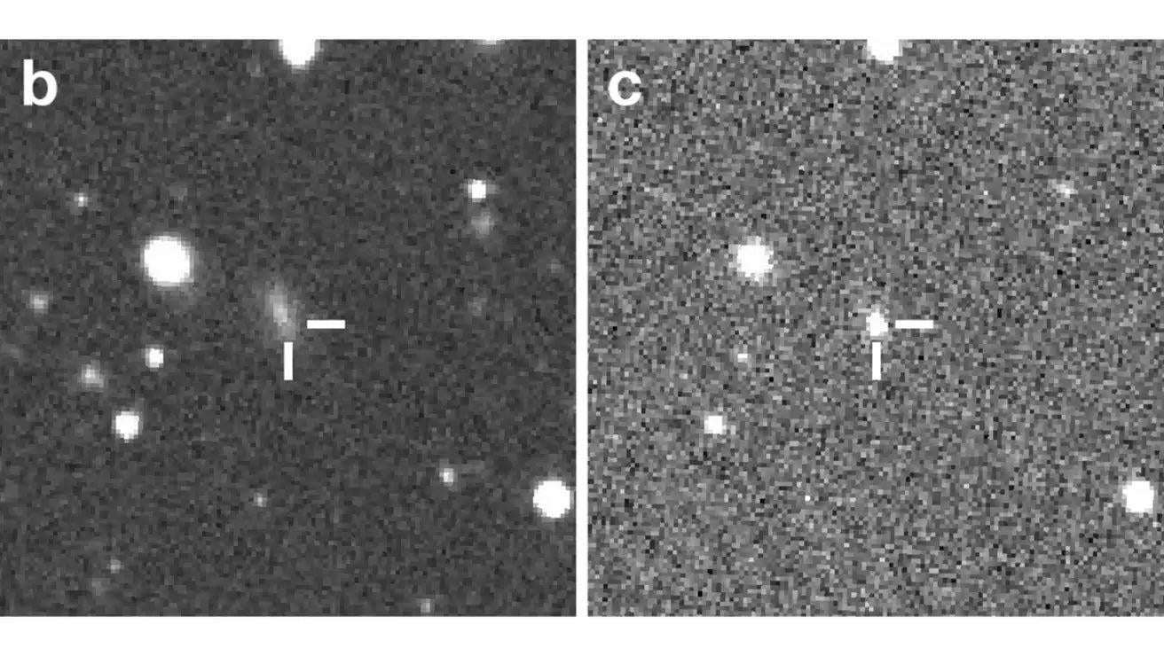 Image: Arvavi et al (2017)