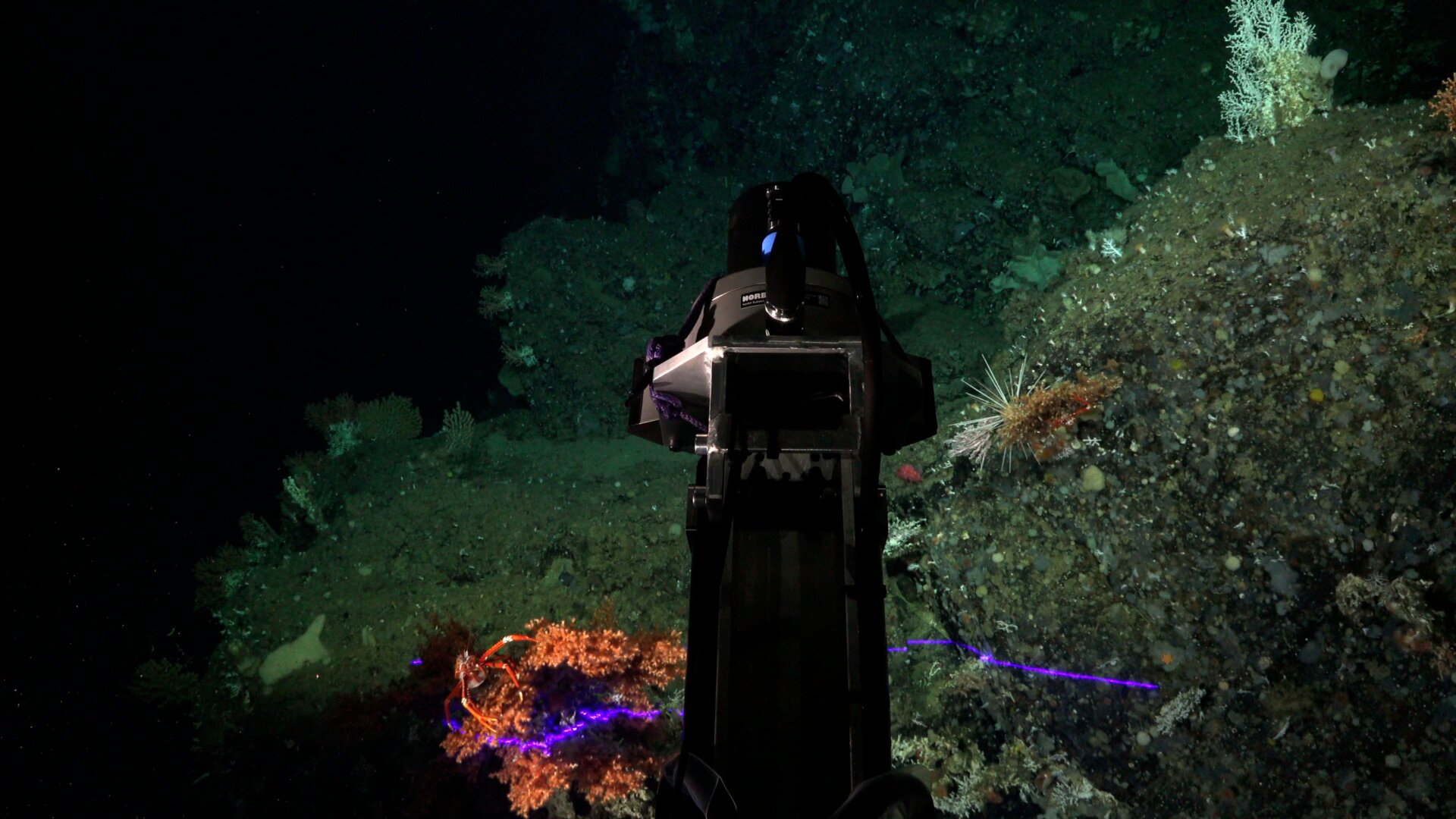 El ROV SuBastian está equipado con dos sensores de mapeo, incluido un escáner láser Micro Insight.