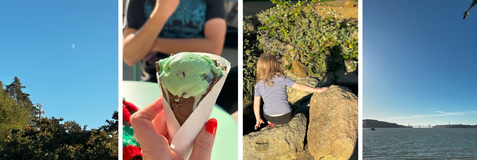 Photo: Florence Ion / Gizmodo