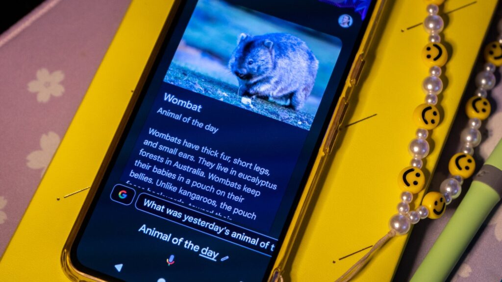 Photo: Florence Ion / Gizmodo