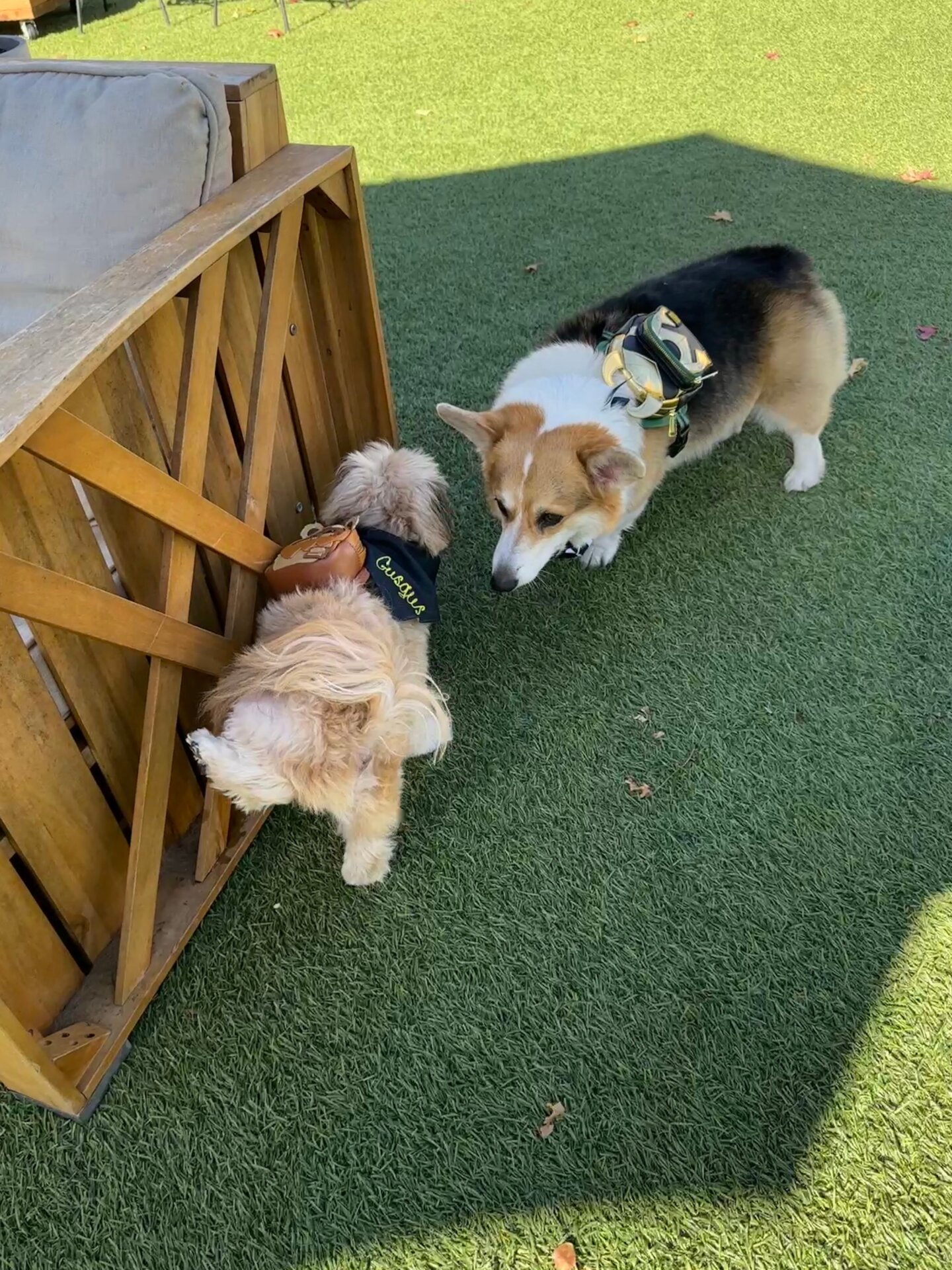 Photo: Sabina Graves/Gizmodo