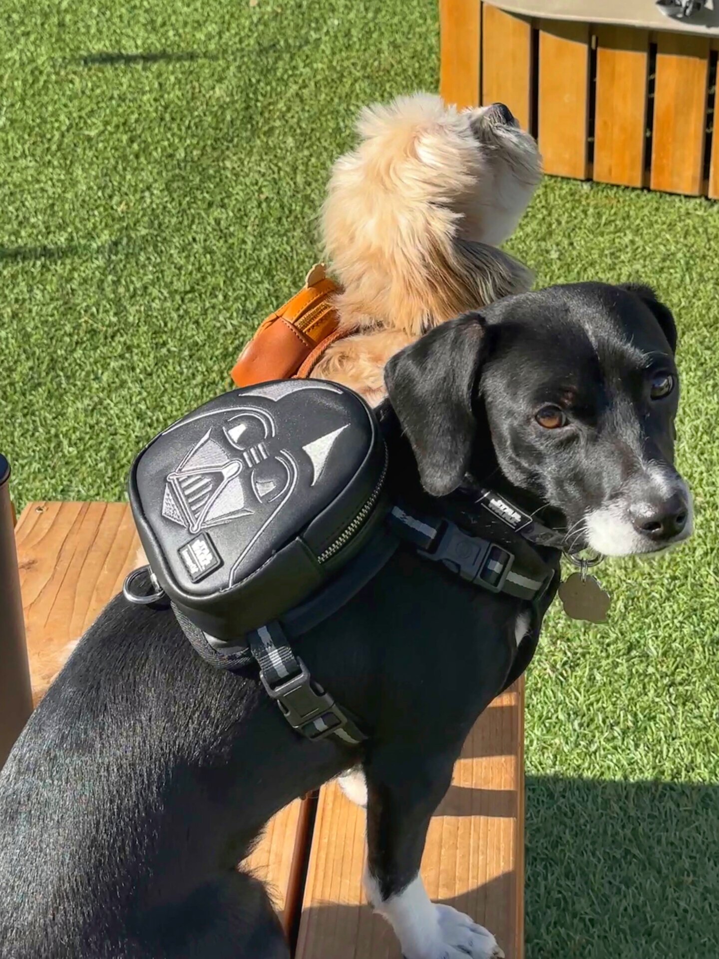 Photo: Sabina Graves/Gizmodo